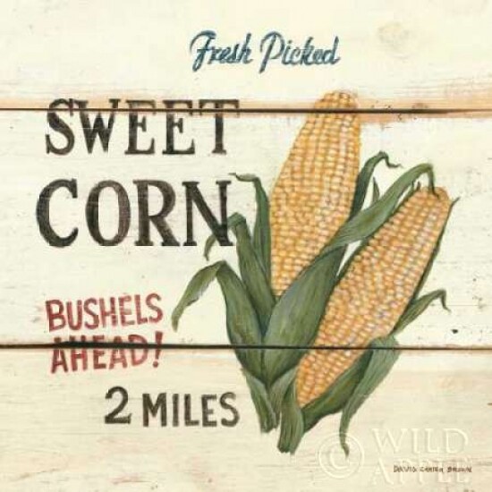 FreshPicked Sweet Corn Poster Print by David Carter Brown - Item # VARPDX3186