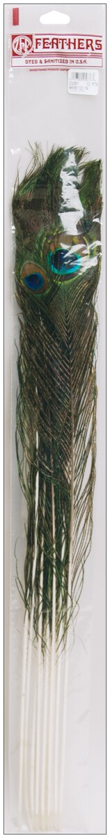 Zucker Peacock Eye Feathers 12/Pkg-Natural