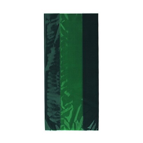 Forest Green Cello Party Bags 30 Pack | Michaels