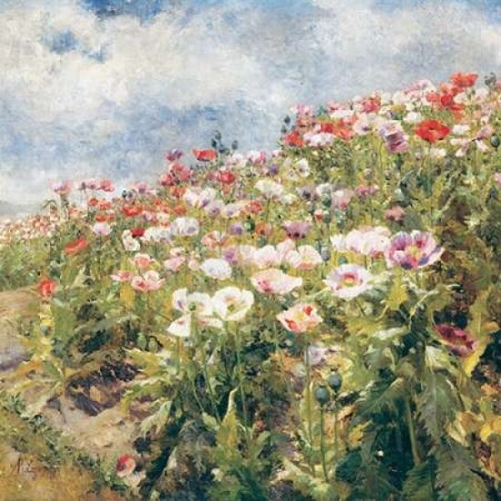Seaside Poppies Poster Print by Egner| Marie - Item # VARPDXCC2821