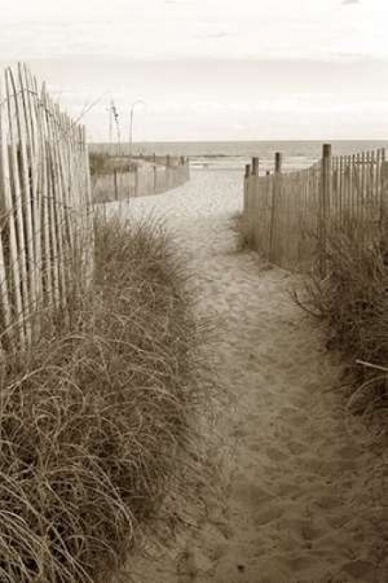 Beach Trail 1 Poster Print by  Amber Light Gallery - Item # VARPDX442AMB1019
