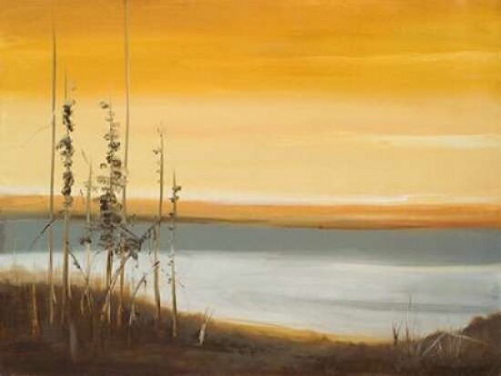 Early Morning II Poster Print by Nelly Arenas - Item # VARPDX7655