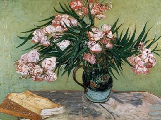 Vase with Oleanders and Books Poster Print by Vincent van Gogh - Item # VARPDX3VG060
