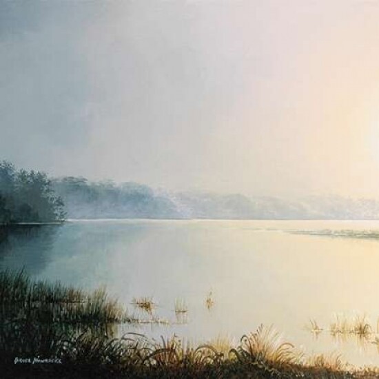 Early to Rise I Poster Print by Bruce Nawrocke - Item # VARPDX8974