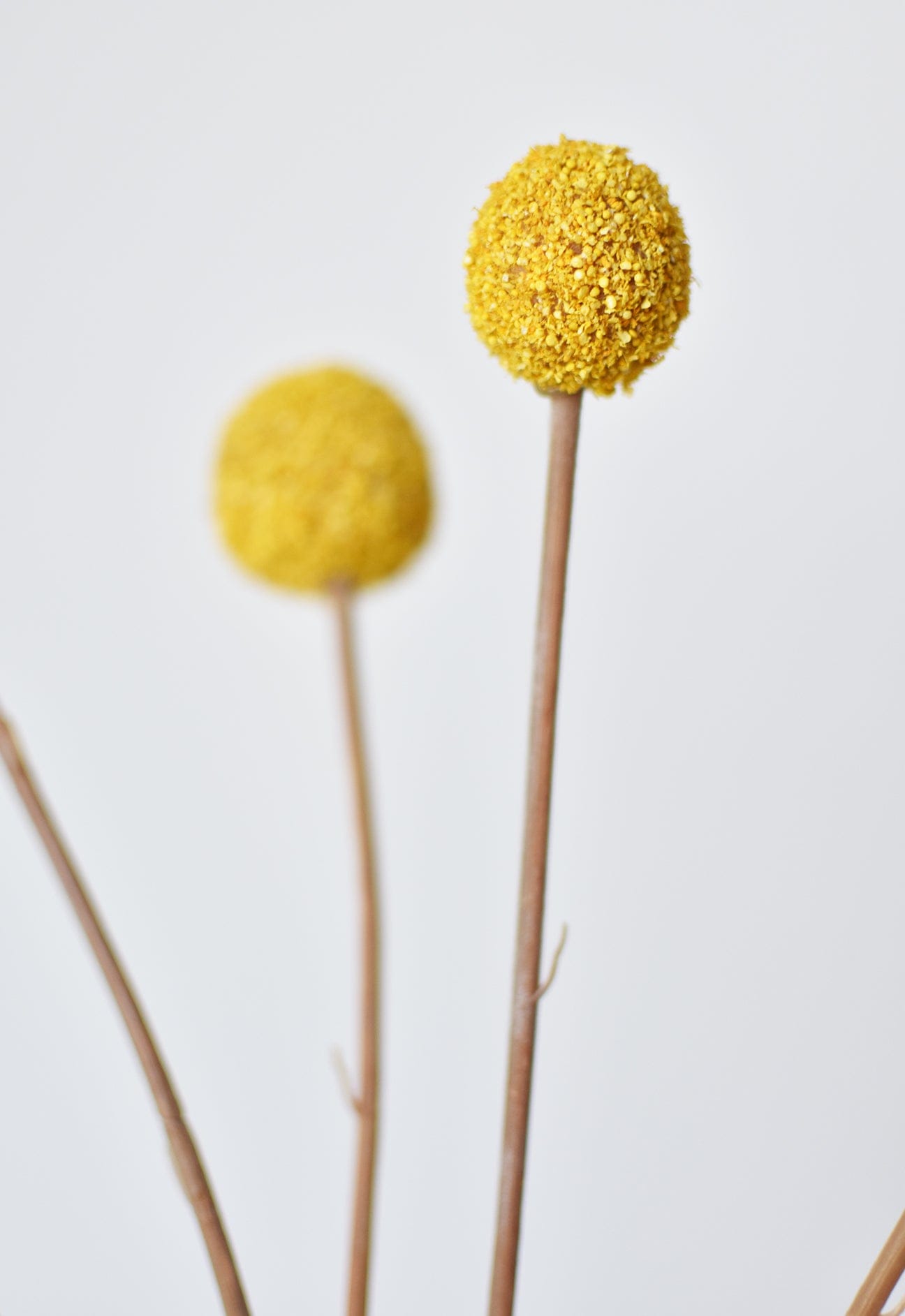 28&#x22; Faux Yellow Billy Ball Stem Bundle