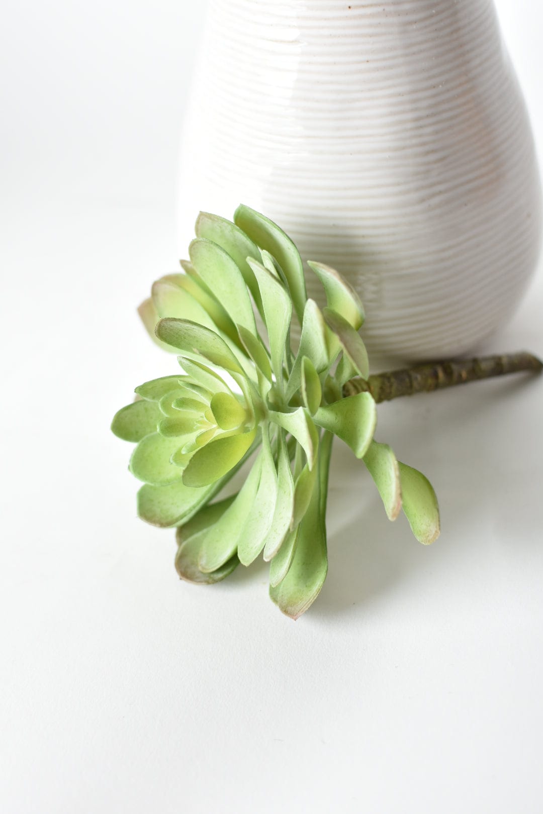 6&#x22; Faux Soft Aeonium Succulent Pick