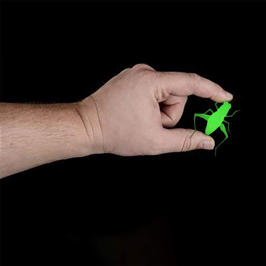 Rhode Island Novelty Glow in The Dark Ctter Assortment - 144 per Unit