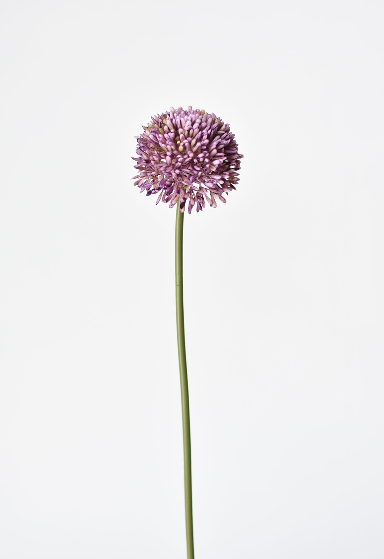 17.5&#x22; Faux Purple Allium Spray Stem