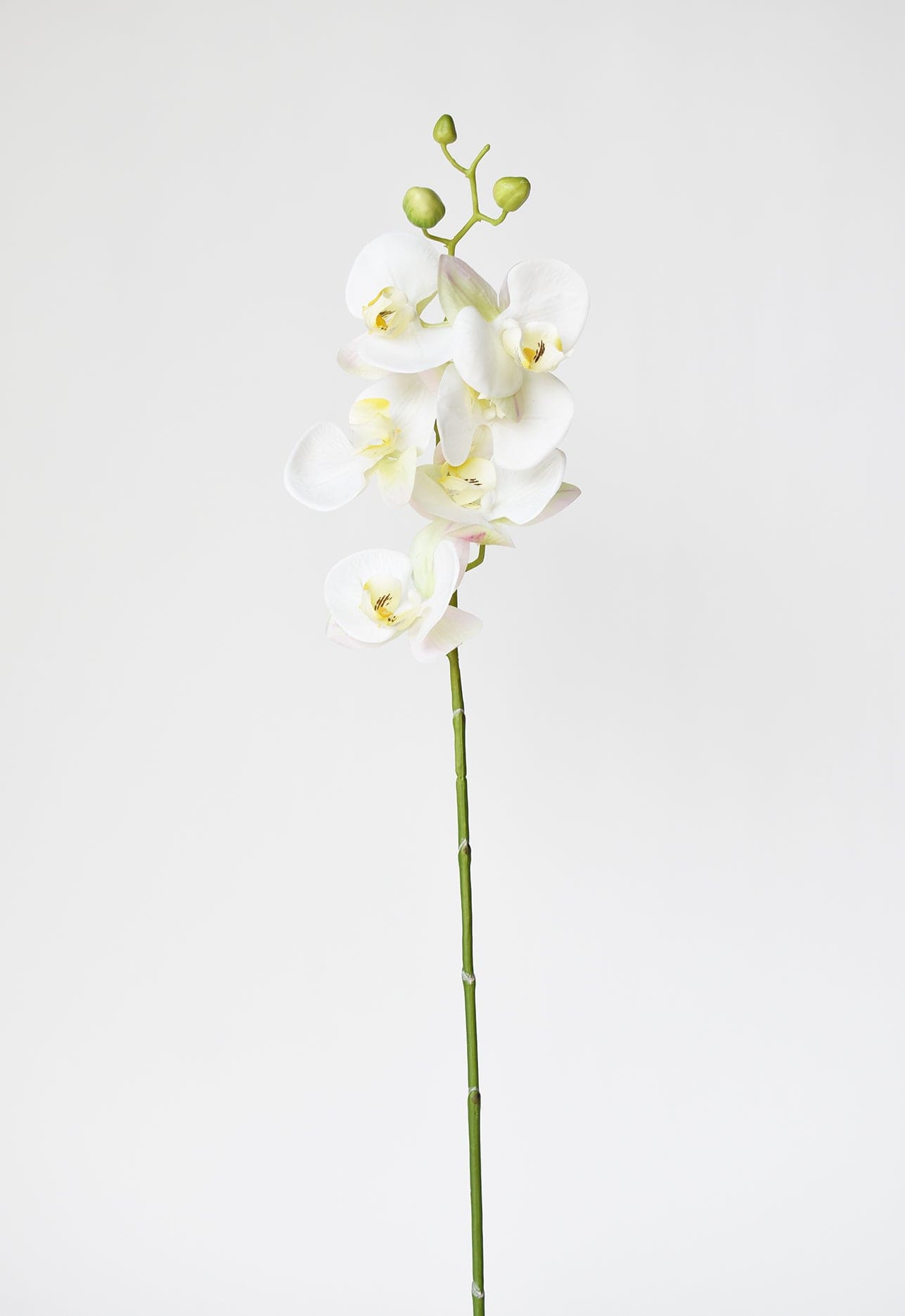 30&#x22; Faux White Orchid Stem