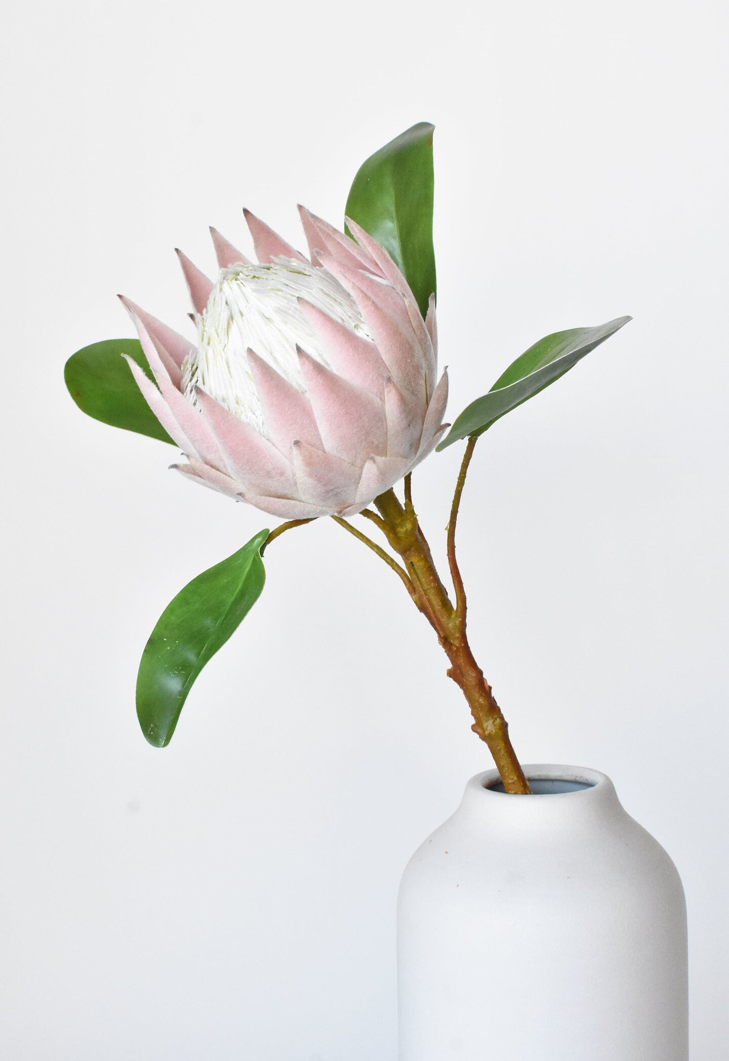 26&#x22; Faux Pink Queen Protea Stem