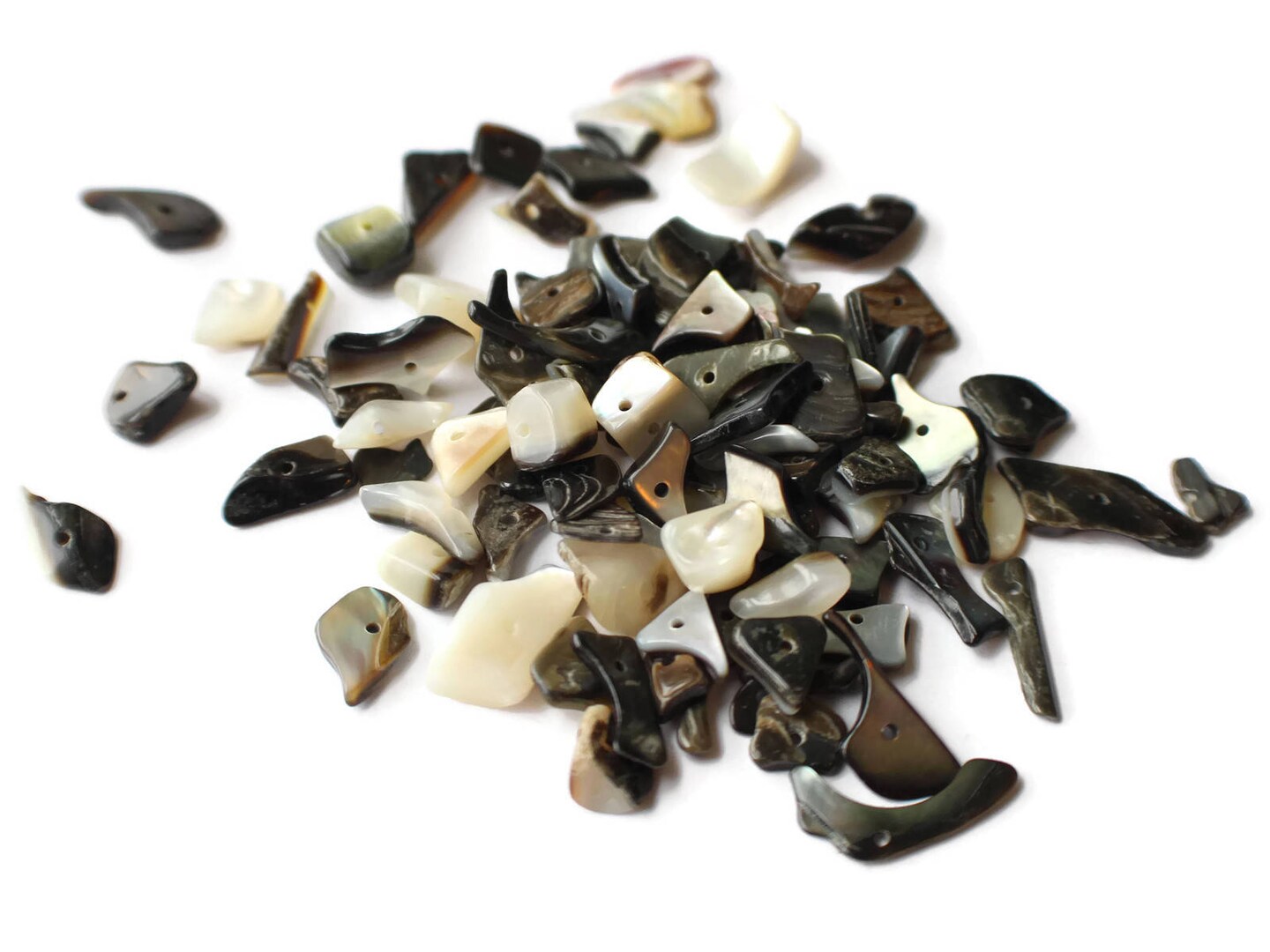 120 Black Lip Shells Bead Chips - 1 oz. Gray Nugget Sea Shell Beads