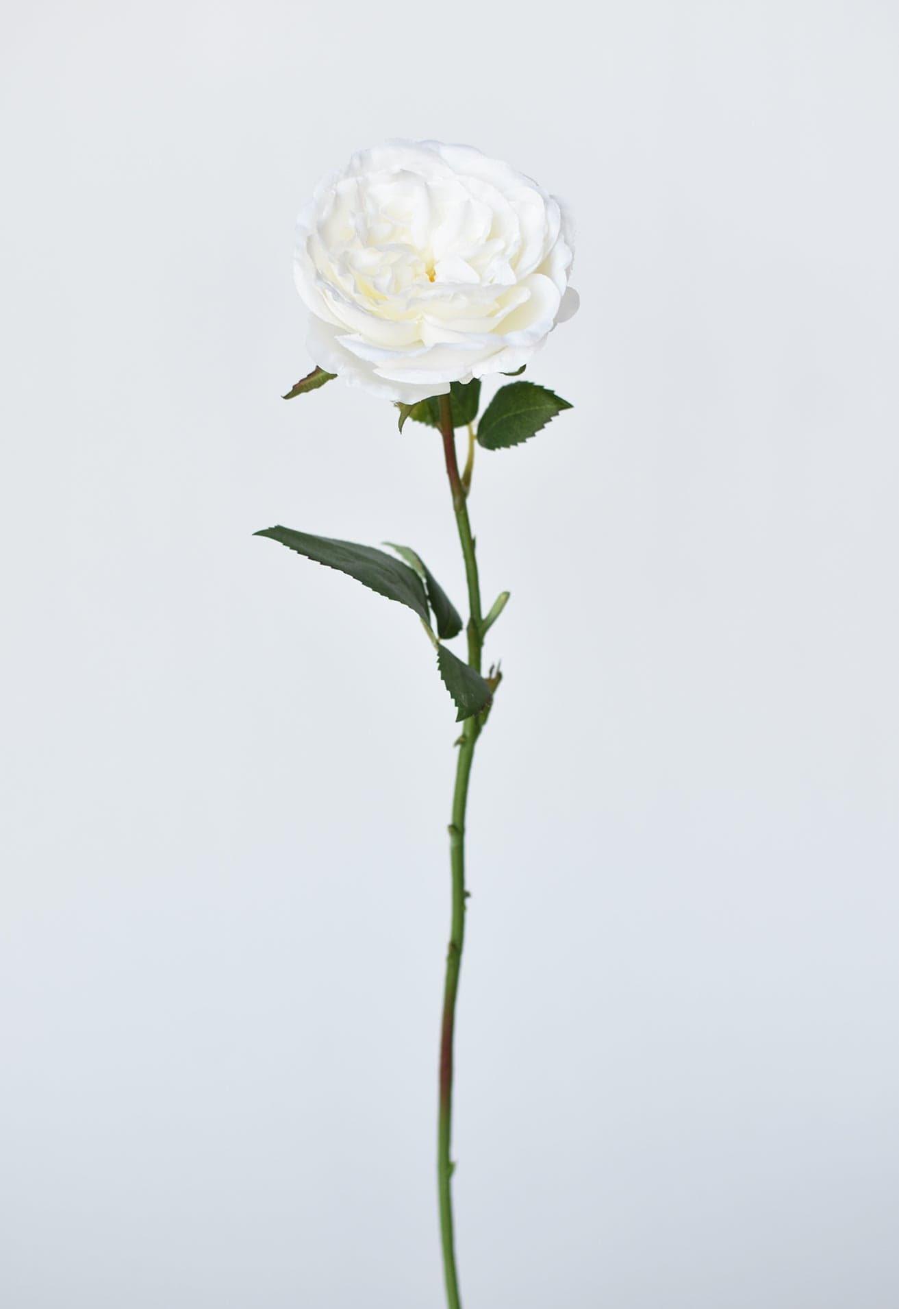 20.5&#x22; Faux Single Rose Stem White