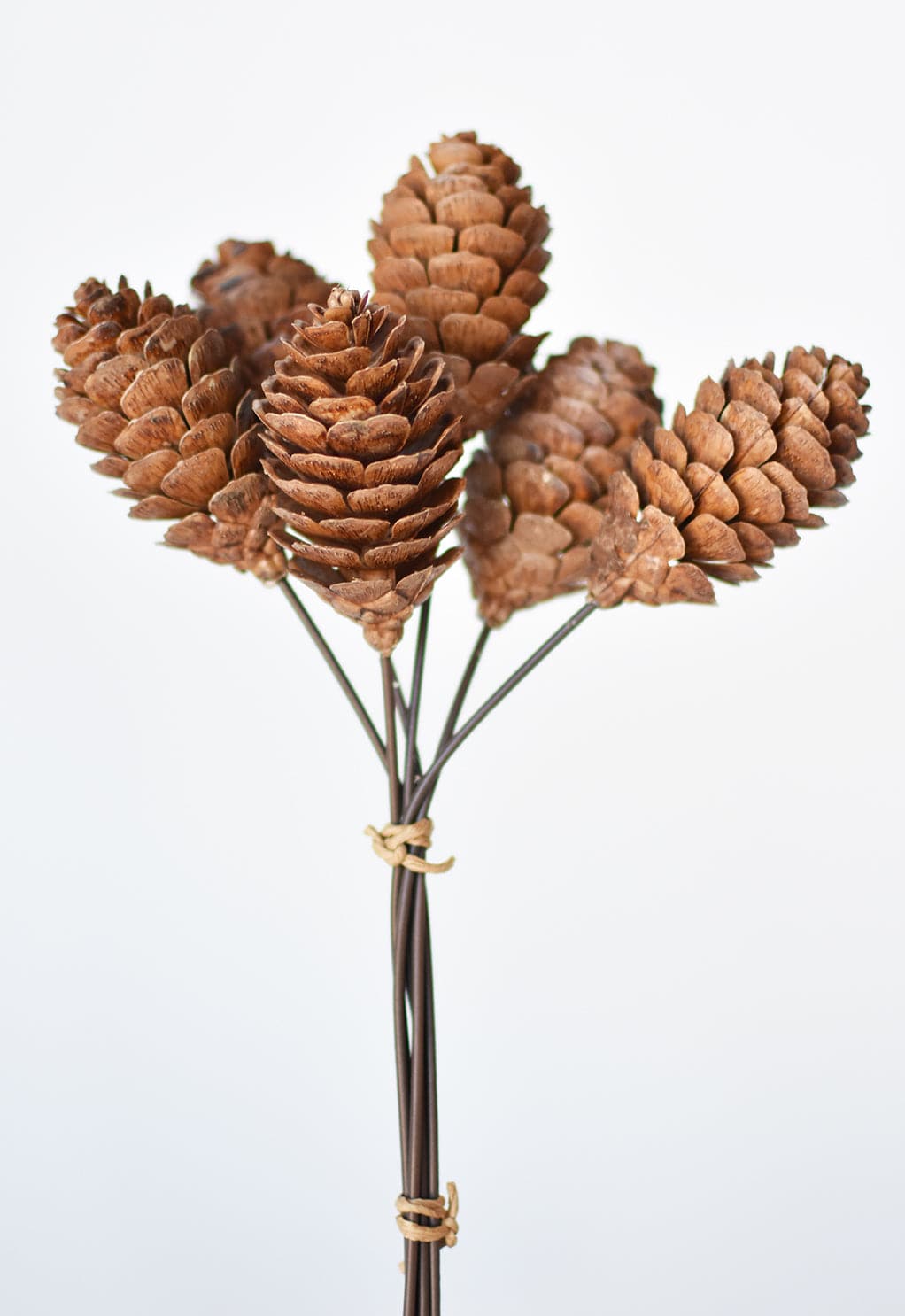 10&#x22; Faux Pinecone Stem Bundle