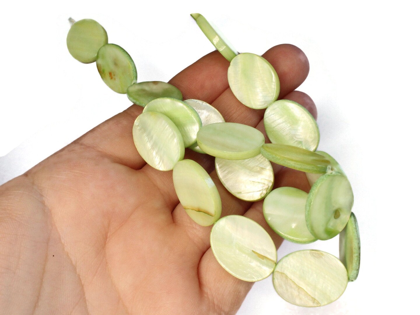 20mm Green Mother of Pearl Oval Disc Beads Dyed Shell Beads Seashell Beads