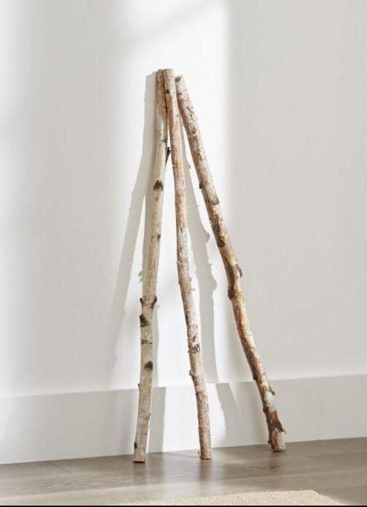 Birch Branches/ Twigs 25- 3' to 4 ft tall – Spirit of the Woods, Inc