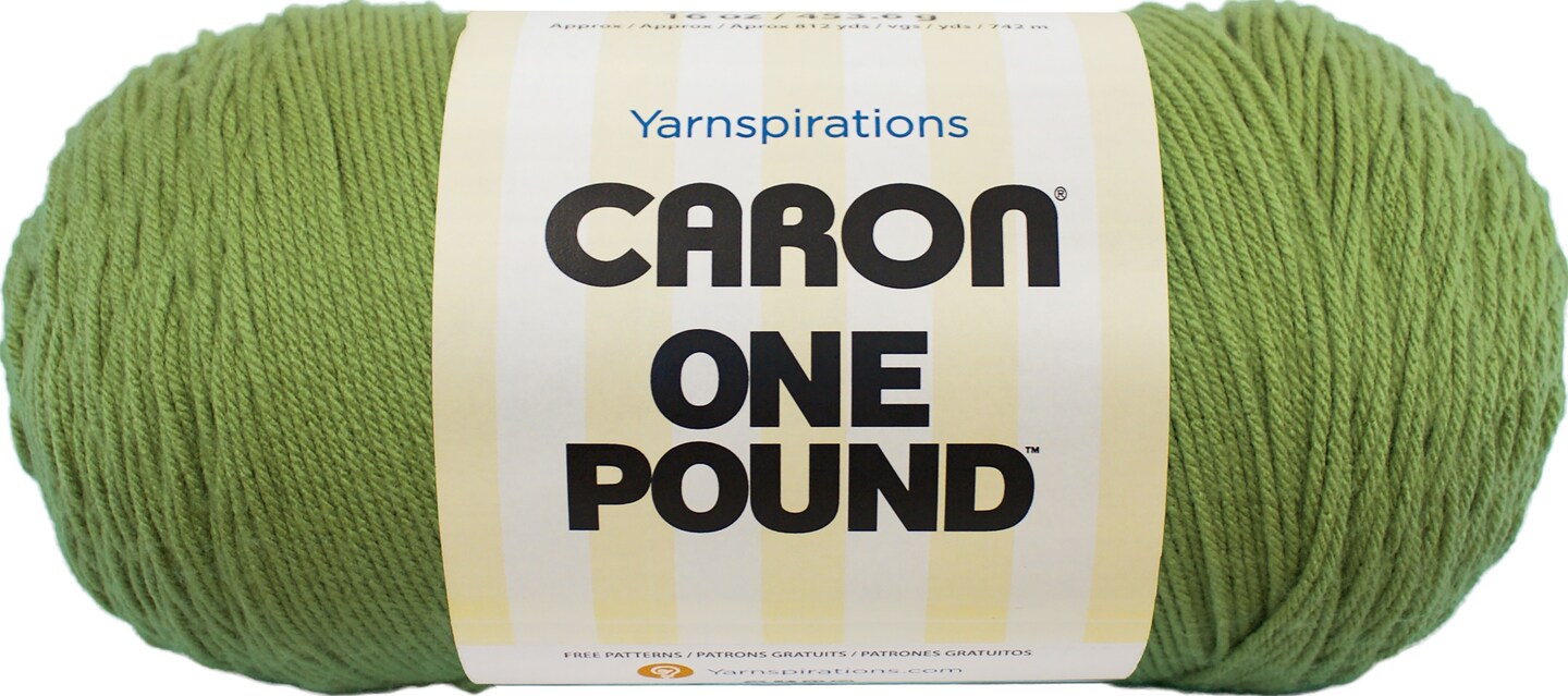 Caron One Pound Grass Green Yarn - 2 Pack of 454g/16oz - Acrylic - 4 Medium (Worsted) - 812 Yards - Knitting/Crochet