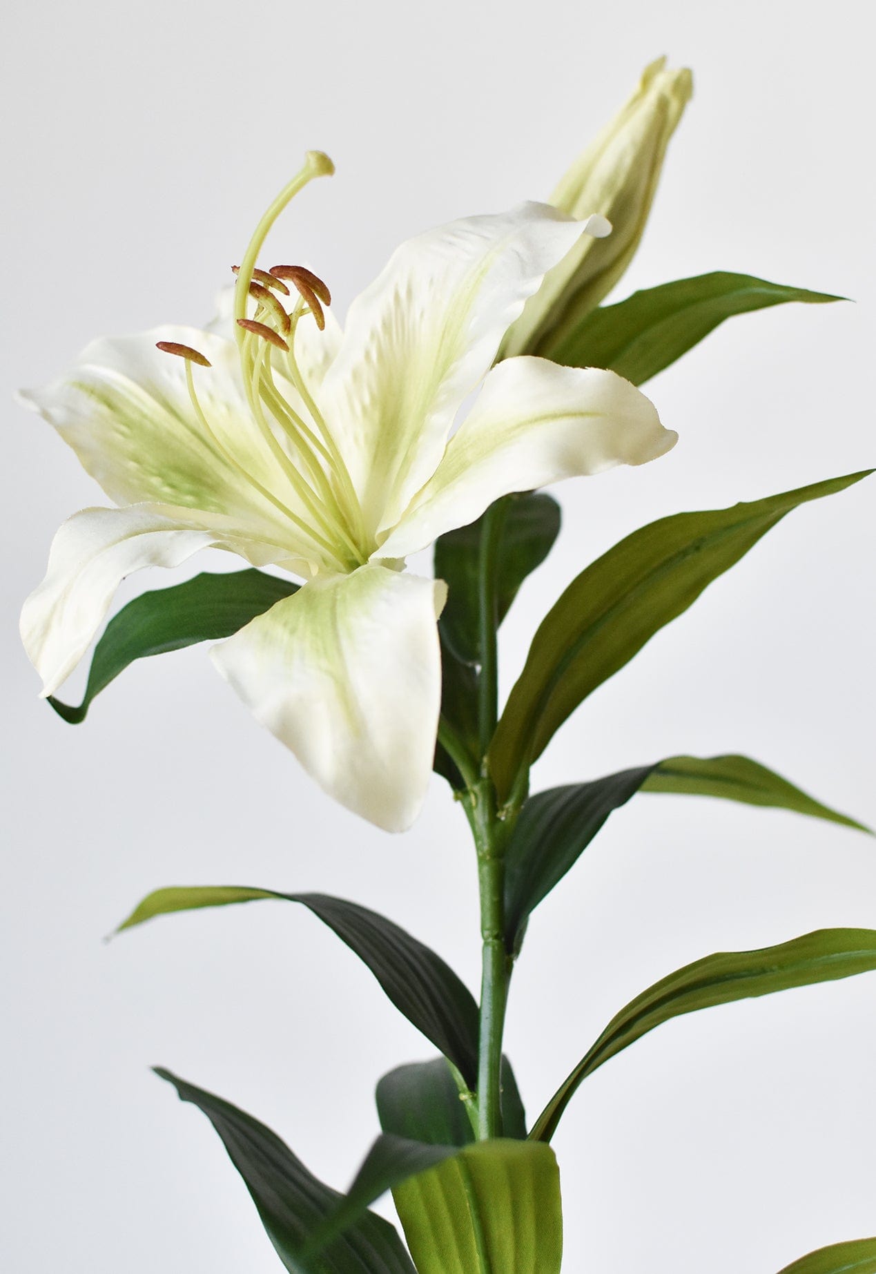 35&#x22; Faux Green and White Lily Stem