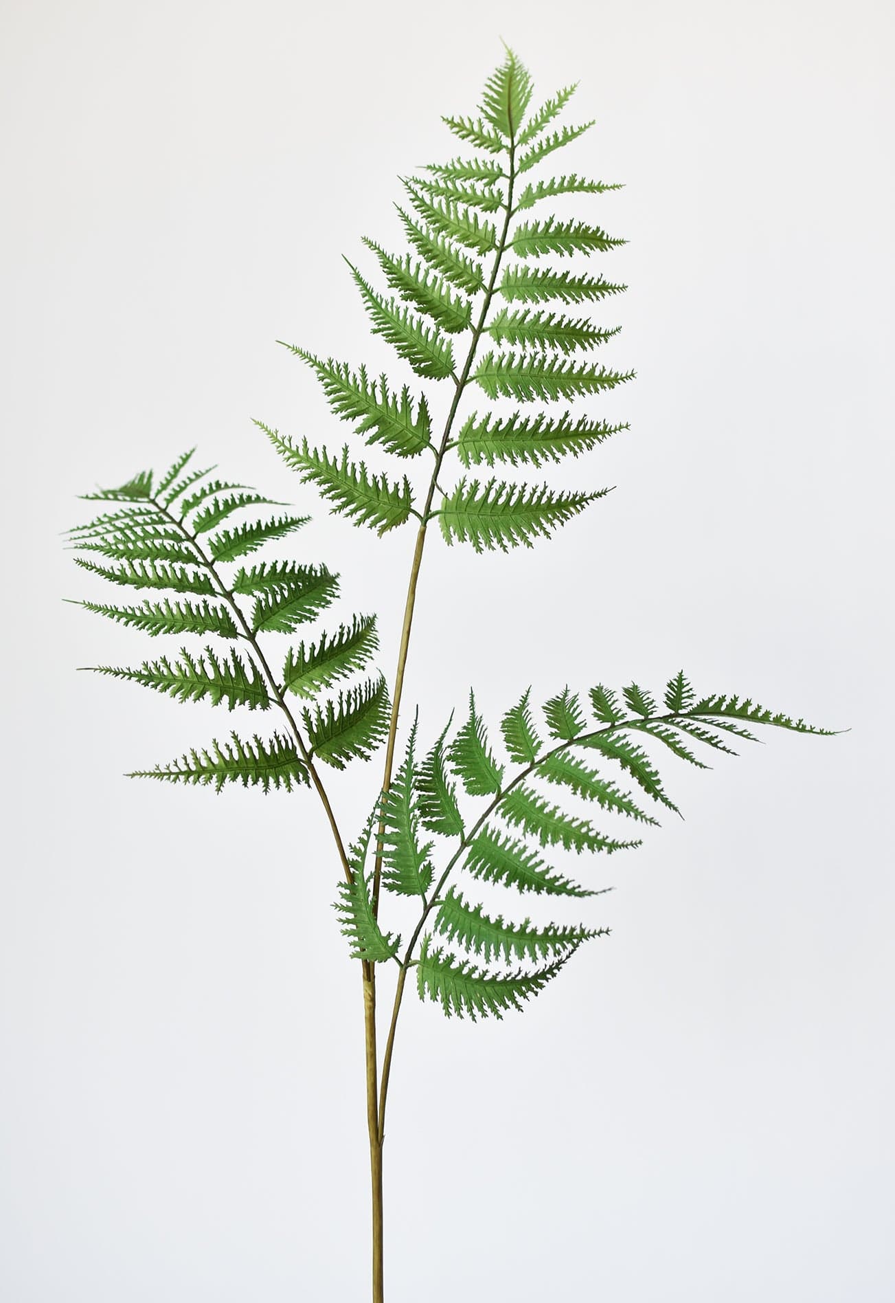 33&#x22; Faux Forest Fern Spray