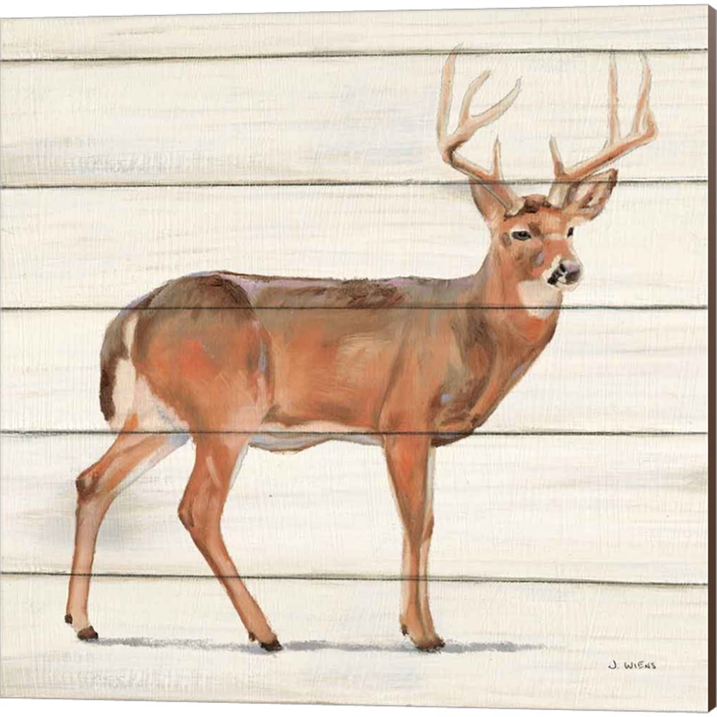 Northern Wild by James Wiens 14&#x22; x 14&#x22; Canvas Wall Art (Set of 2)