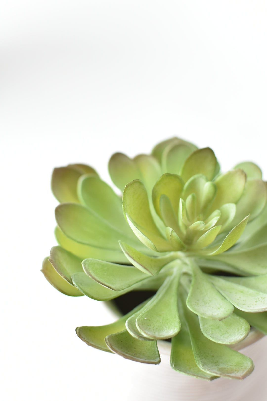 6&#x22; Faux Soft Aeonium Succulent Pick