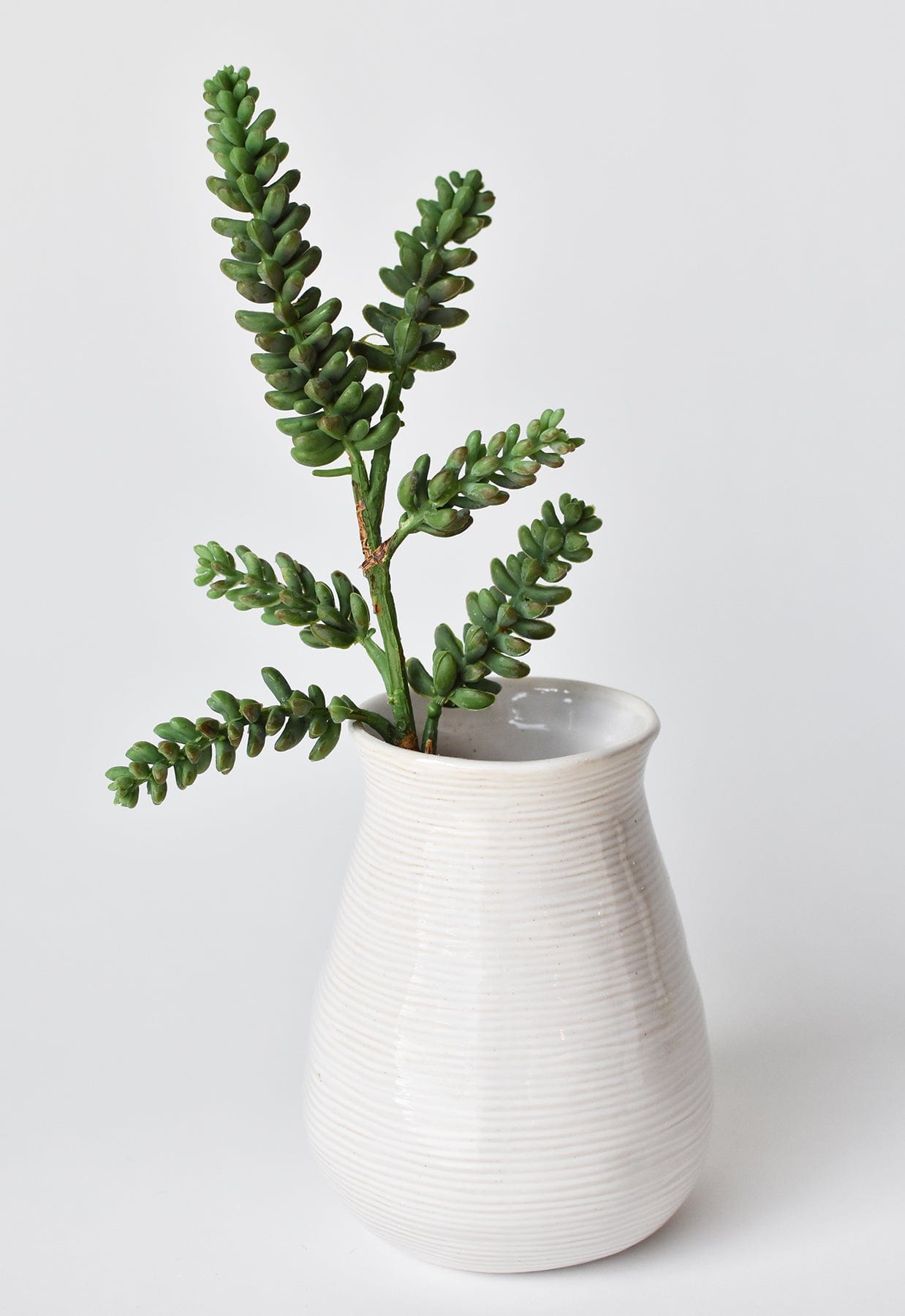 13&#x22; Faux Green Monkey Tail Stem