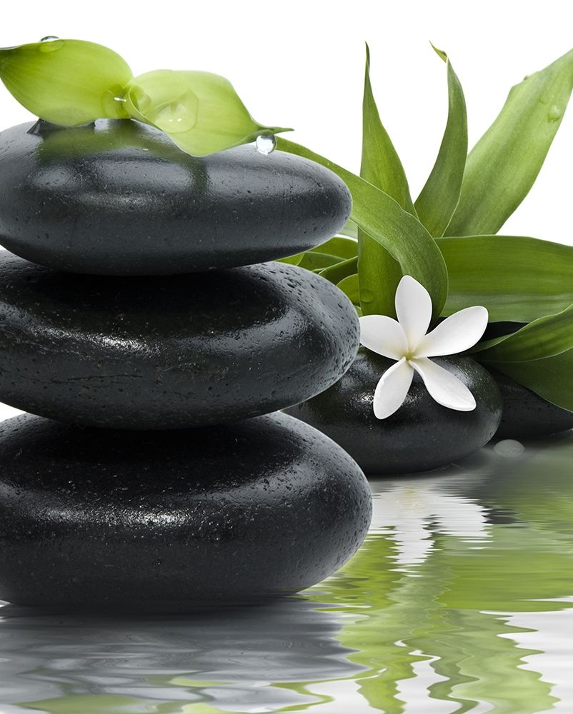 D&#xFFFD;&#xFFFD;tente au spa Poster Print by Braun Studio Braun Studio # MC1310