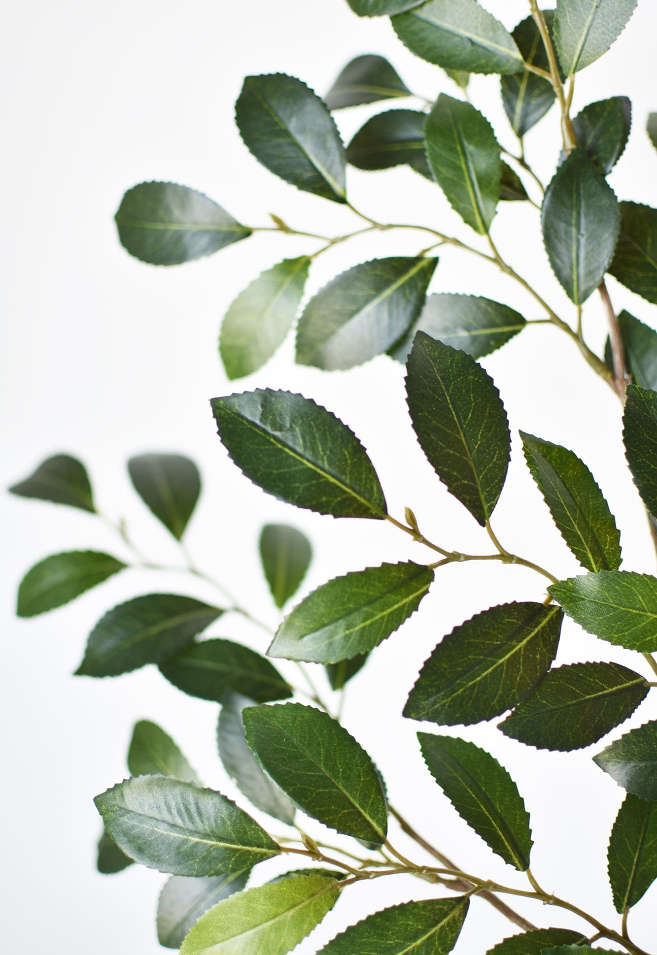 26&#x22; Faux Ruscus Leaf Stem