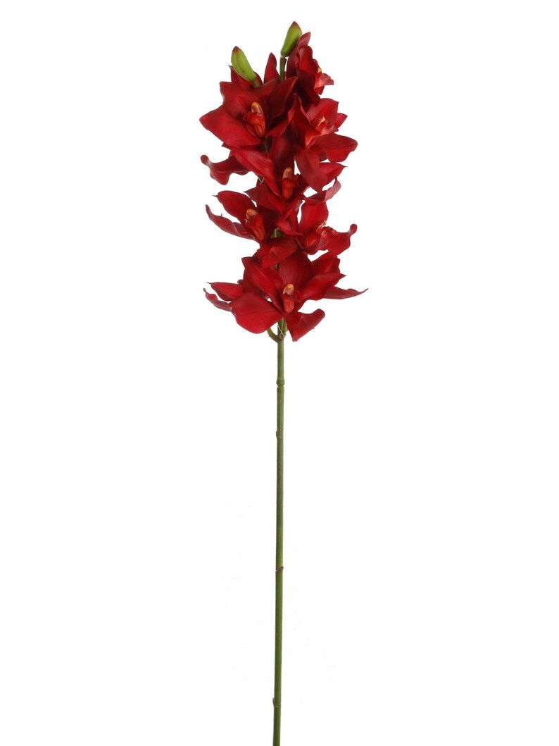 Elegant 38-Inch Red Silk Cymbidium Orchid Stem - Realistic and Versatile Floral Decoration