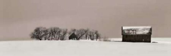 Winter Retreat Poster Print by Michael Cahill - Item # VARPDX16265