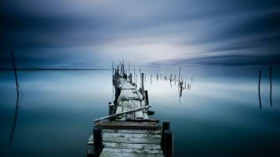 Floral Fiesta III Poster Print by Laura Marshall - Item # VARPDX41500