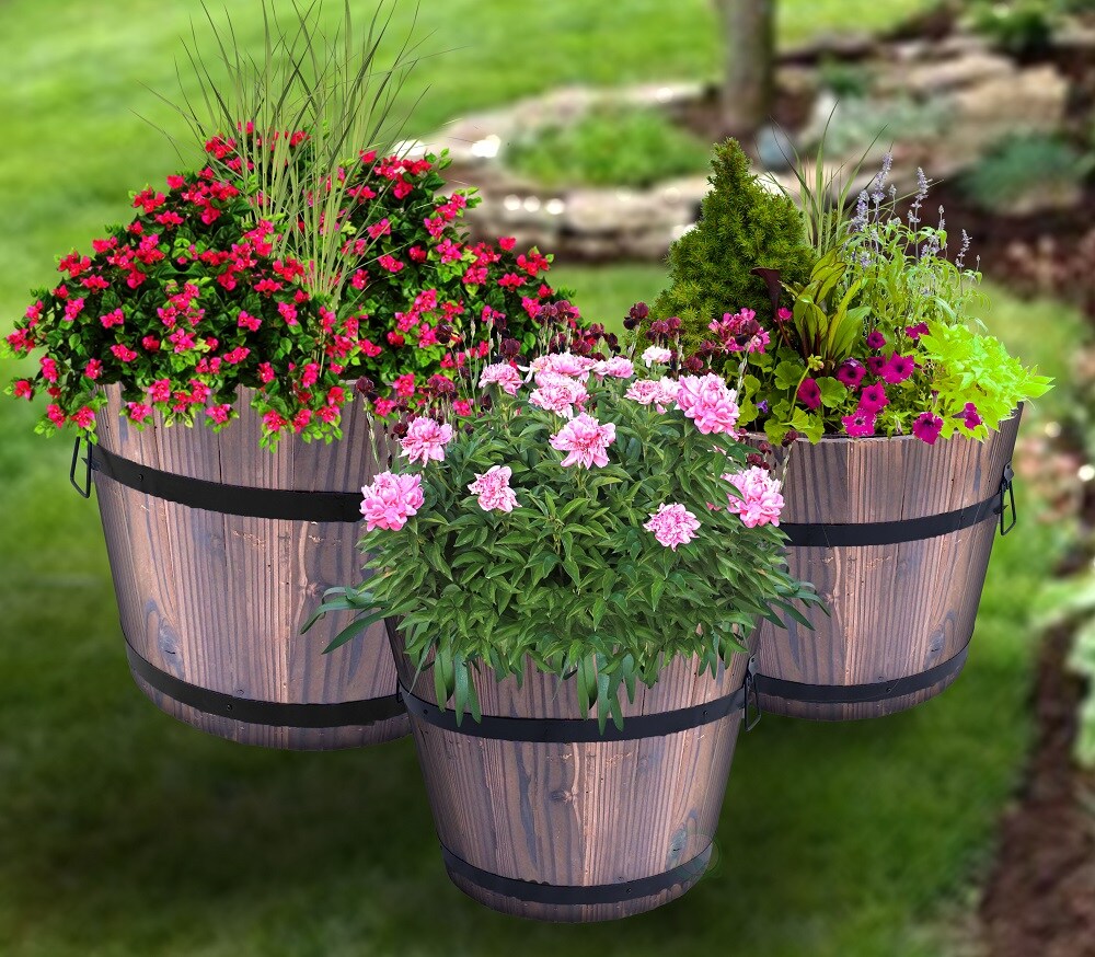 Wooden Whiskey Barrel Planters