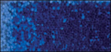 Sulyn Extra Fine Glitter 2oz