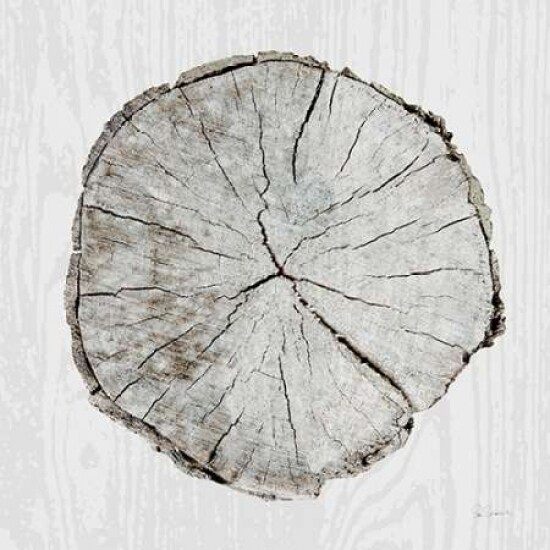 Woodland Years I Poster Print by Sue Schlabach - Item # VARPDX21823