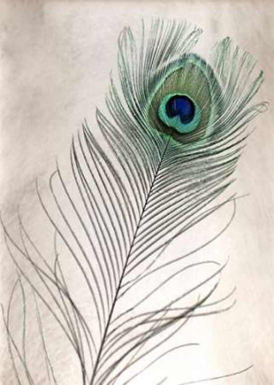 Feathers - 11 Poster Print by Alan Blaustein - Item # VARPDXABSLF109