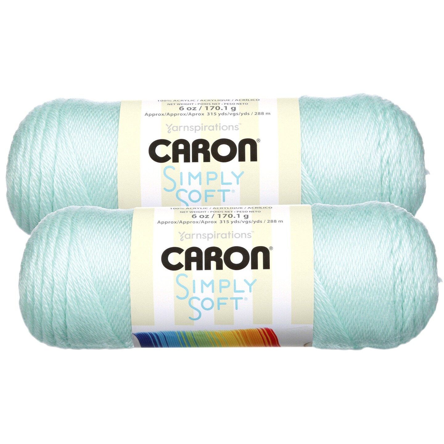 (Pack of 2) Caron Simply Soft Solids Yarn-Soft Green