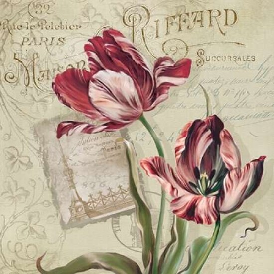 French Tulips II Poster Print by Carol Robinson - Item # VARPDX15282