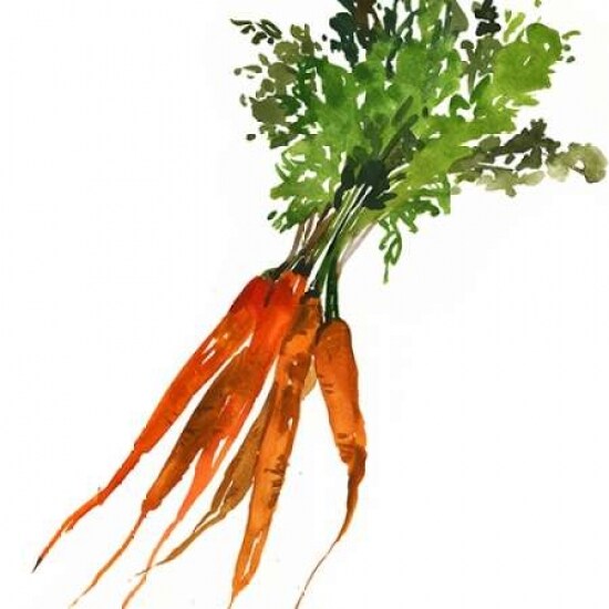 Carrot Poster Print by Asia Jensen