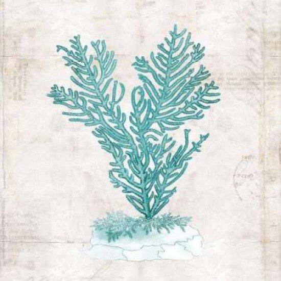 Under the Sea II Poster Print by Sabine Berg - Item # VARPDX18203