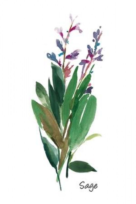 Sage I Poster Print by Asia Jensen