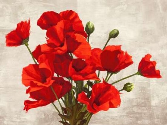 Bouquet of Poppies Poster Print by Jenny Thomlinson - Item # VARPDX3JT2386