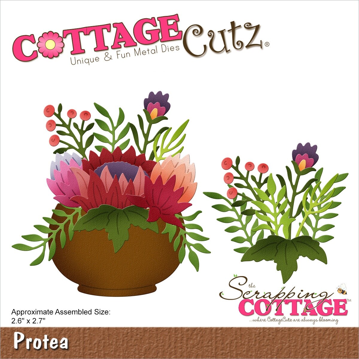 Cottagecutz Dies-Protea 2.6&#x22;X2.7&#x22;