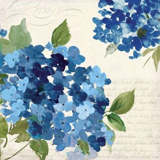 Hampton Hydrangea I Poster Print by Asia Jensen