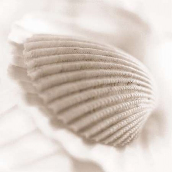 Atlantis 3 Poster Print by Alan Blaustein - Item # VARPDXB1168D