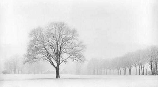 Standing Alone Poster Print by Lars Van de Goor - Item # VARPDXV567D
