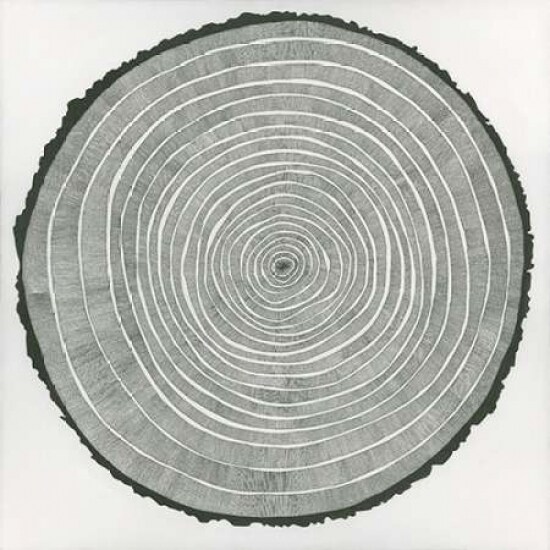 Tree Theory Poster Print by Sandrine Pelliser