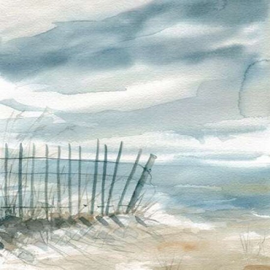 Subtle Mist II Poster Print by Carol Robinson - Item # VARPDX16735