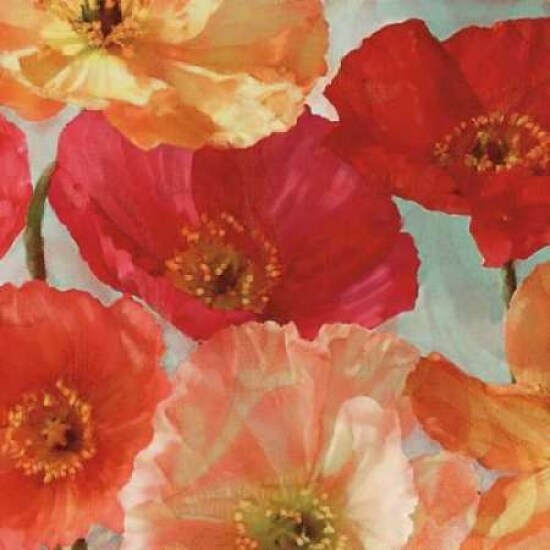 Incandescence II Poster Print by Janel Pahl - Item # VARPDXPLP122