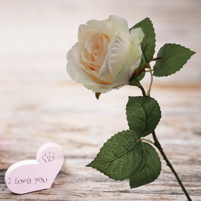 Champagne Chic: 20" Realistic Silk Champagne Rose Bud Stem - 6 Piece Set - Elevate Your Event Decor with these Stylish Flowers