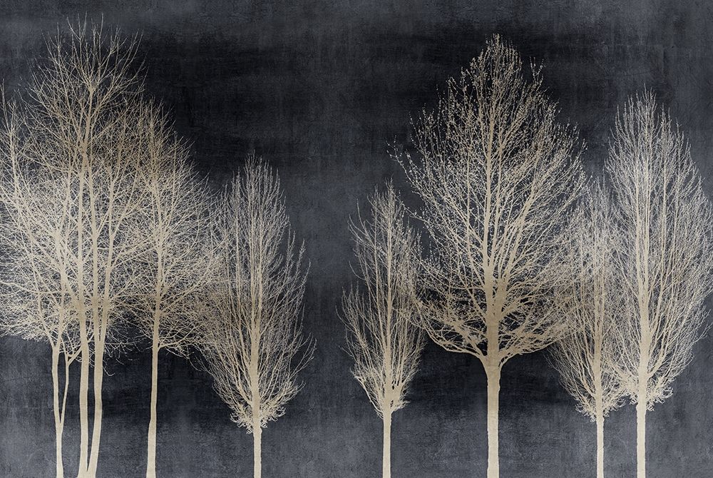 Trees on Dark Gray by Kate Bennett - Item # VARPDXKTB117785