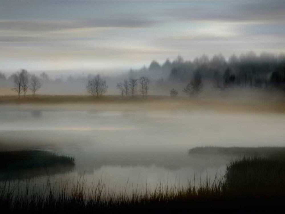 Early Morning Poster Print by Madeline Clark # MCL114257